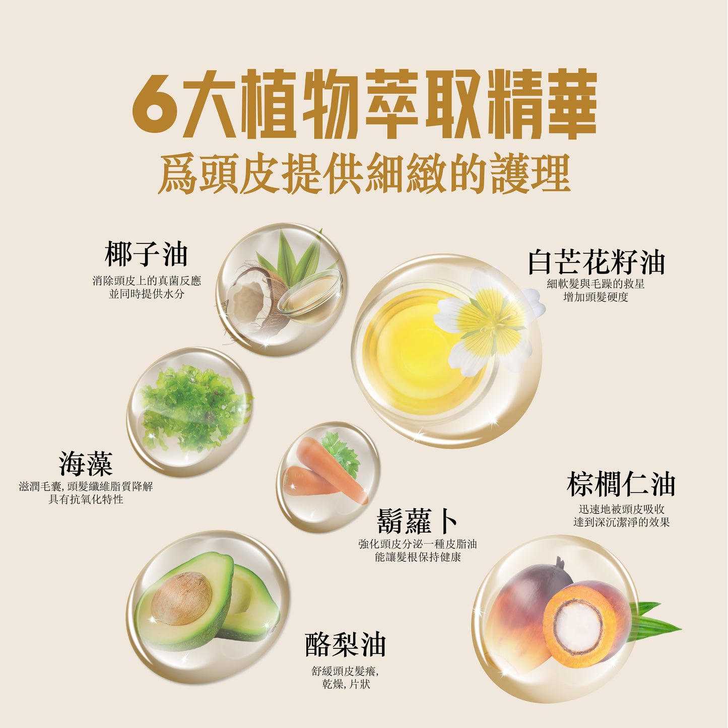 SalCium® 修護頭皮滋潤乳液 100㎖ℯ