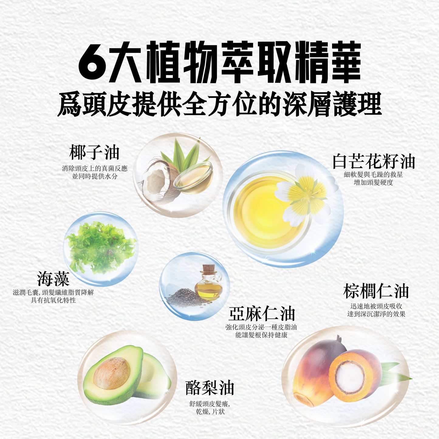 SalCium® ROOTPURE 頭皮淨養組